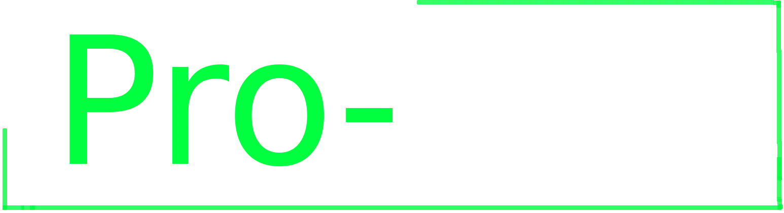 Logo Pro-Net